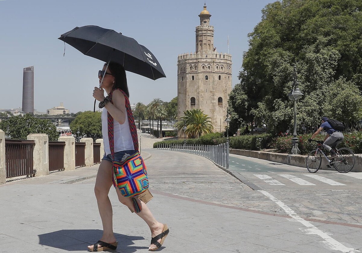 Aviso Naranja Por Altas Temperaturas Este Domingo En La Campiña Cordobesa Y Amarillo En Sevilla 6946