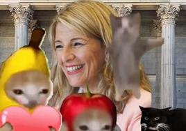 El surrealista vídeo de campaña de Sumar en TikTok: frutas con caras de gatos que votan a Yolanda Díaz