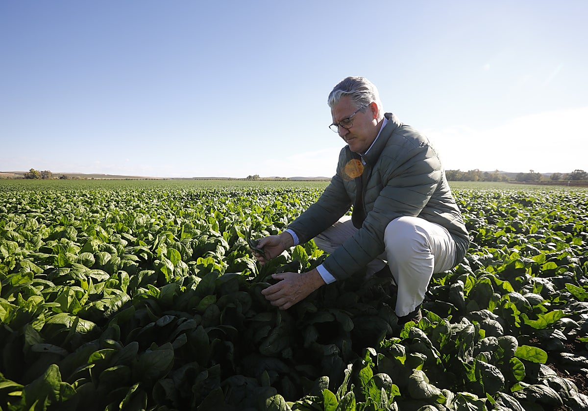 José María Cabrera, gerente del Cortijo de la Reina