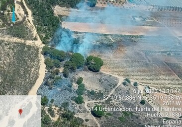 Declarado un incendio forestal en un paraje de Huelva