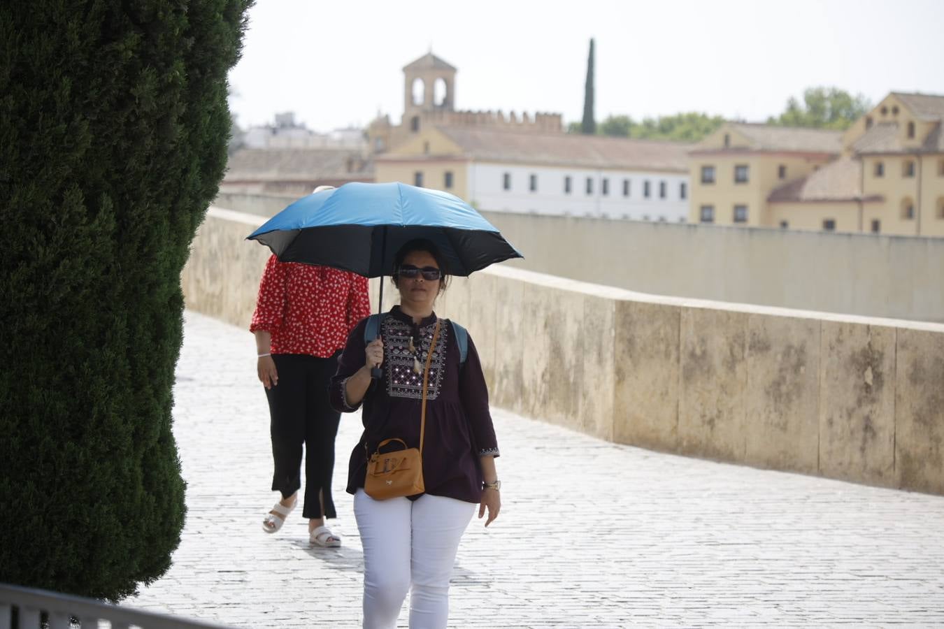 Fotos: Córdoba se abrasa a casi 44 grados a la sombra en la ola de calor