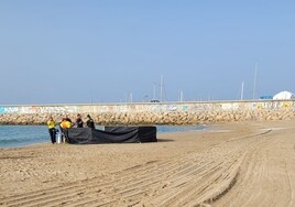 Localizado el cadáver de un niño en una playa de Tarragona