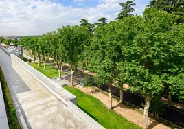 Habilitan dos nuevas entradas al Campo del Moro, jardines históricos del Palacio Real de Madrid