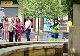 La alcaldesa de Granada 'limpia la cara' de la ciudad con una brigada de choque