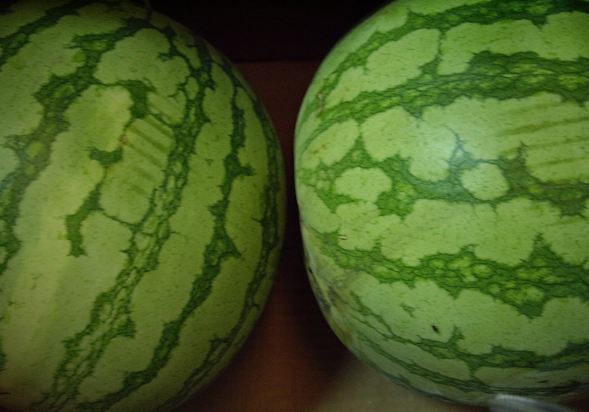 Imagen de archivo de dos sandías