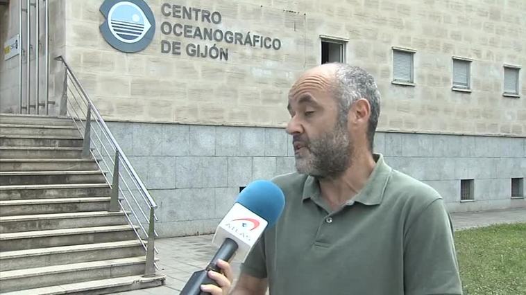 Según la AEMET el agua del mar en superficie está 3 grados por encima de lo normal y en el Cantábrico hasta 4 grados más