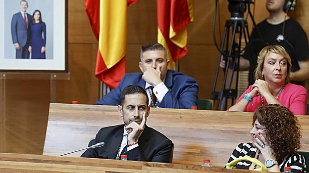 Imagen de Carlos Fernández Bielsa, líder provincial del PSPV, este viernes en el pleno de constitución de la Diputación de Valencia