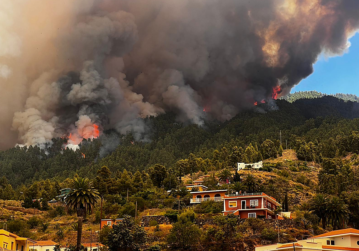 Incendio forestal en Puntagorda