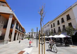 El Ayuntamiento de Córdoba 'entierra' el proyecto de instalar 208 placas solares en la cubierta junto al Templo Romano