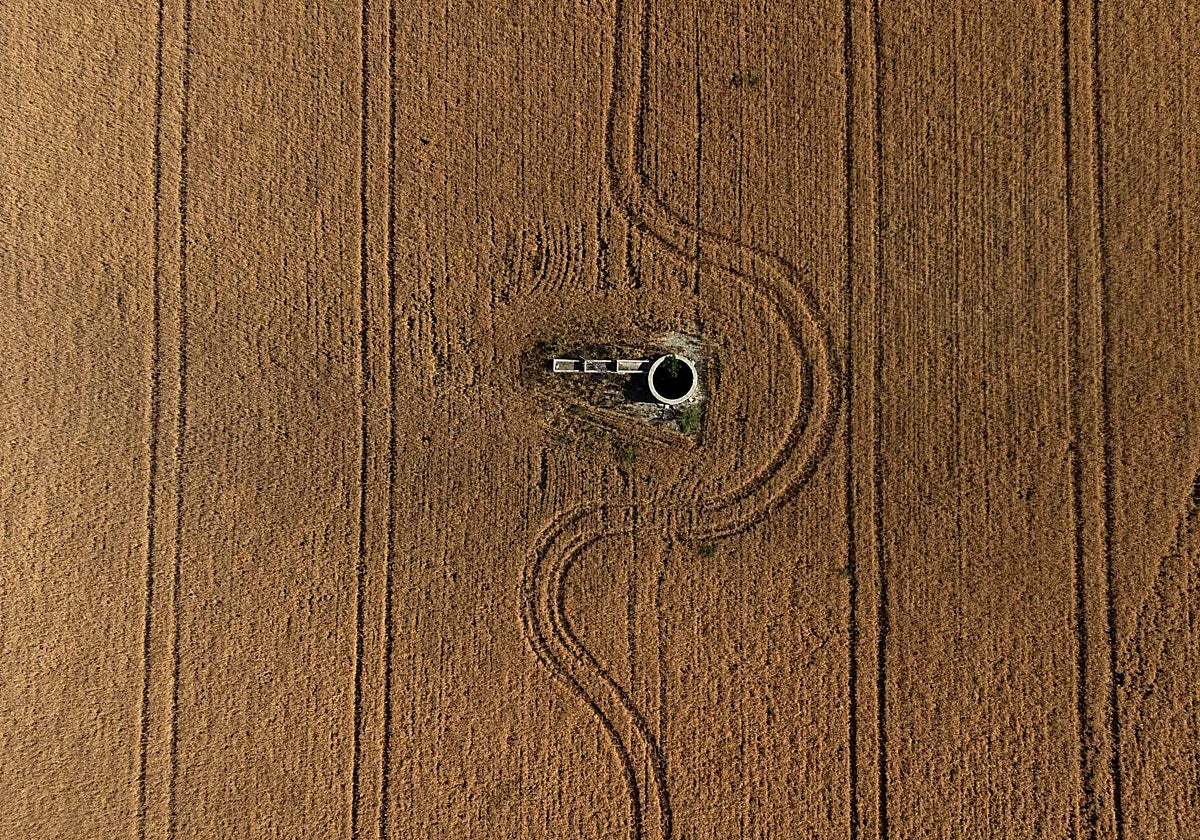 Campo de cereal de Córdoba