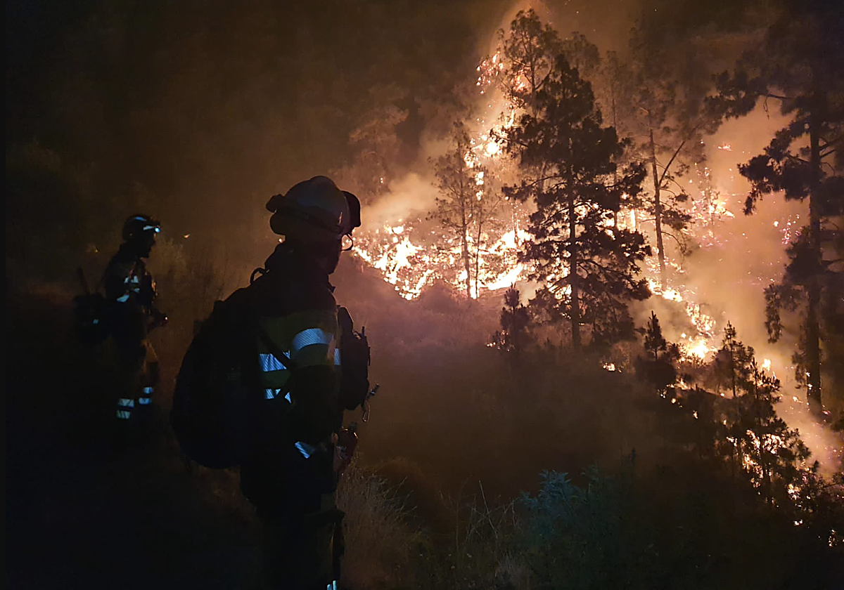 Efectivos trabajan en el incendio declarado en Puntagorda, La Palma