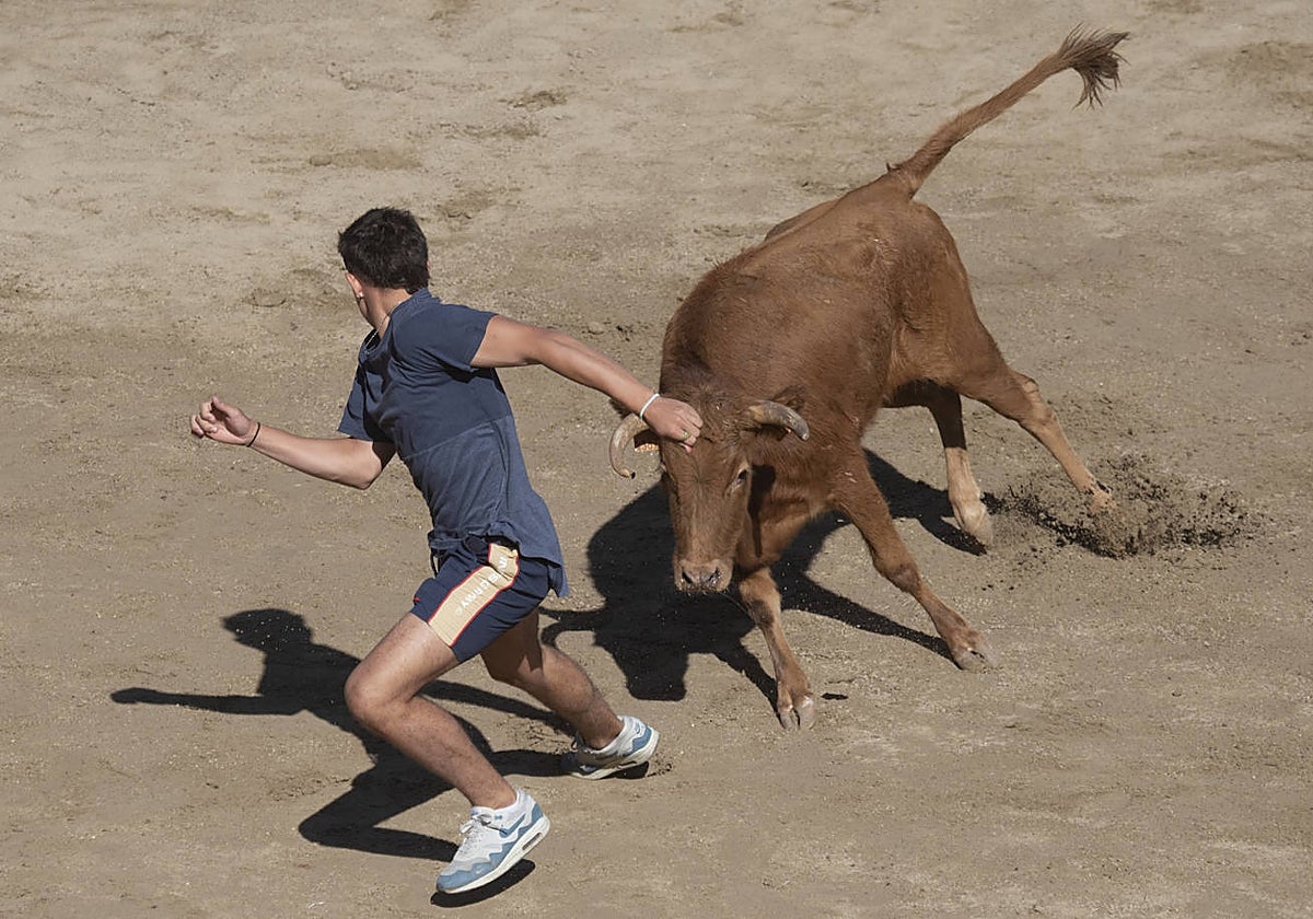 Imagen de archivo de un festejo taurino
