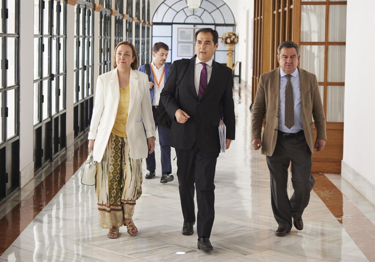 El consejero de Justicia, Administración Pública y Función Pública, José Antonio Nieto (centro), en el Parlamento andaluz