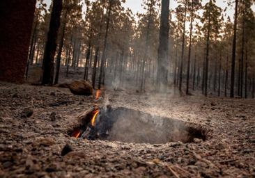 Últimos coletazos en el incendio de La Palma, a «pocos metros de morir»