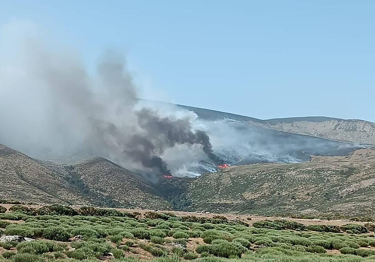 El incendio se declaró entre los términos abuleneses de La Aliseda de Tormes y Bohoyo, al norte de la Sierra de Gredos
