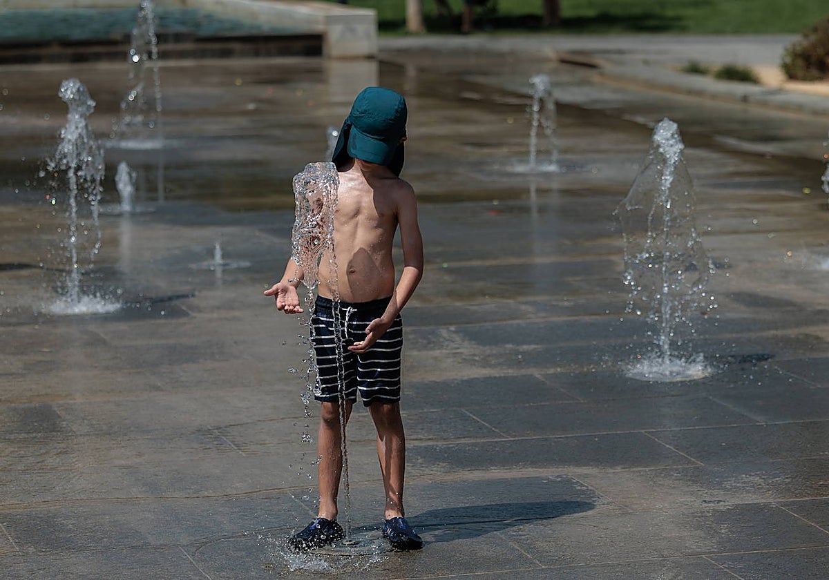 Imagen tomada en el Parque Central de Valencia
