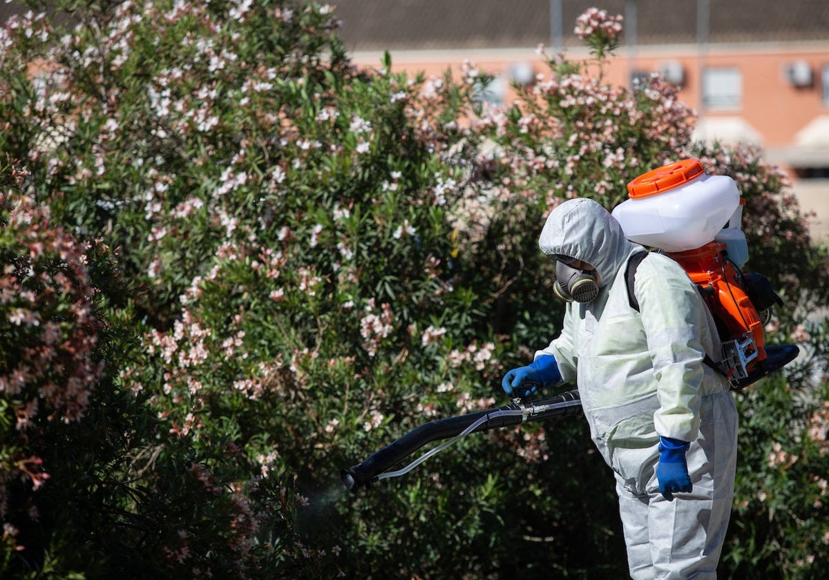 Labores de fumigación contra el mosquito para prevenir el virus del Nilo