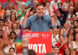 El PSOE abraza el meme de 'Perro Sanxe' en el cierre de campaña: de Rigoberta Bandini a la chapa de Begoña Gómez
