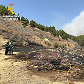 Un trabajador con una desbrozadora podría ser la causa del incendio de Tejeda