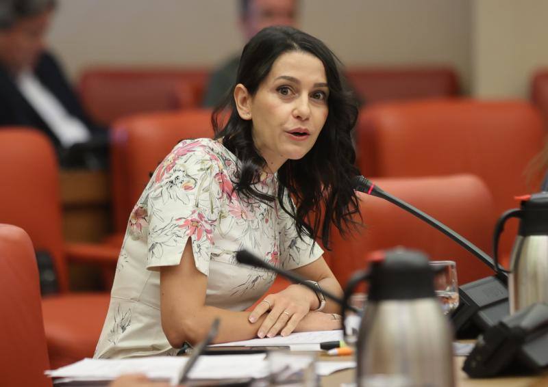 La portavoz en el Congreso, Inés Arrimadas, durante su intervención en la Diputación Permanente 