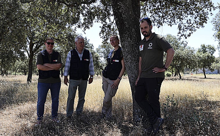Imagen principal - Arriba, algunos de los trabajadores del centro; abajo, un agente forestal transporta un animal y un vencejo 