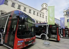 El Ayuntamiento de Alicante activa la gratuidad del bus para menores de 31 años y mantiene el 50% para el resto