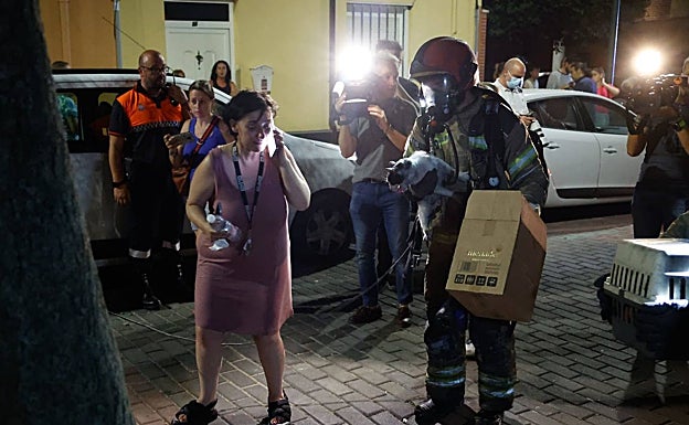 Isabel recoge a uno de sus gatos