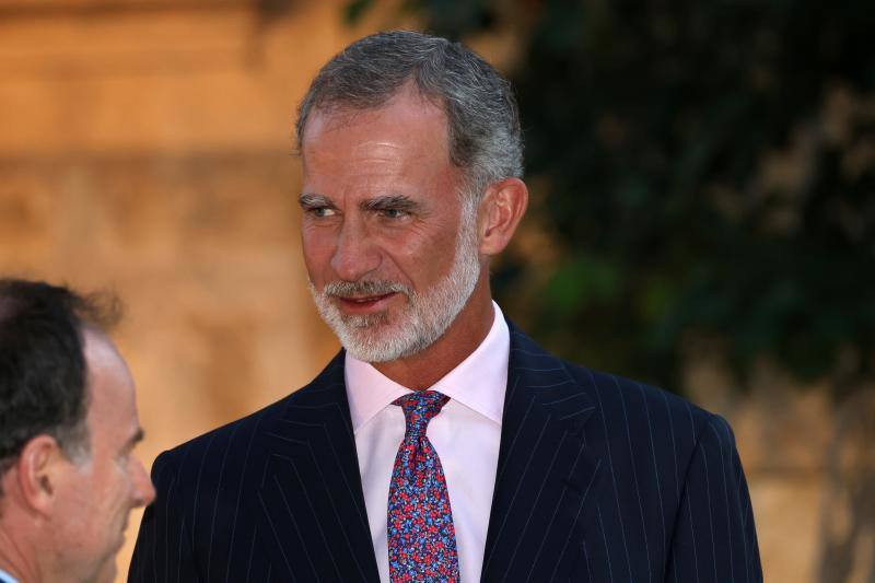 El Rey Felipe VI durante la recepción. 