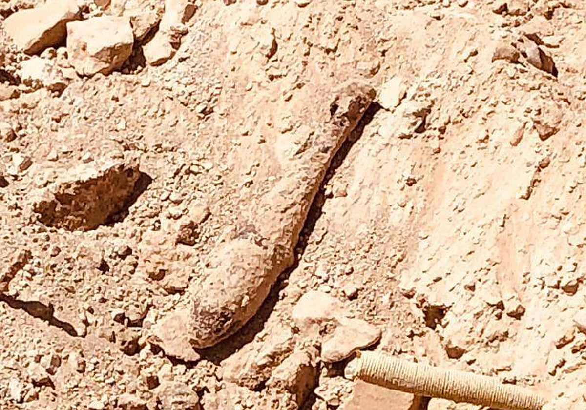 Bomba encontrada en la plaza de España de Cabra