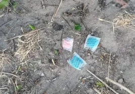 Encuentran bolsas con veneno para gatos en los jardines de una urbanización en Galapagar