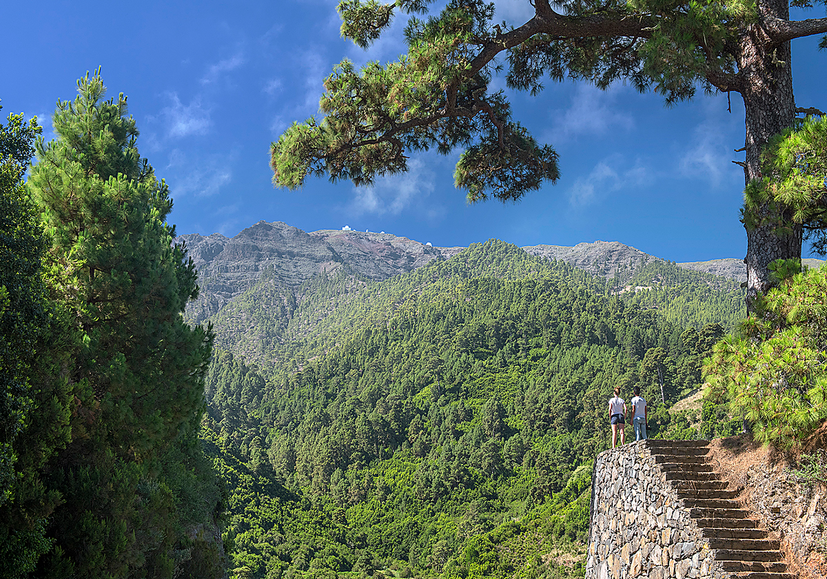 Mirador en el municipio palmero de Garafía