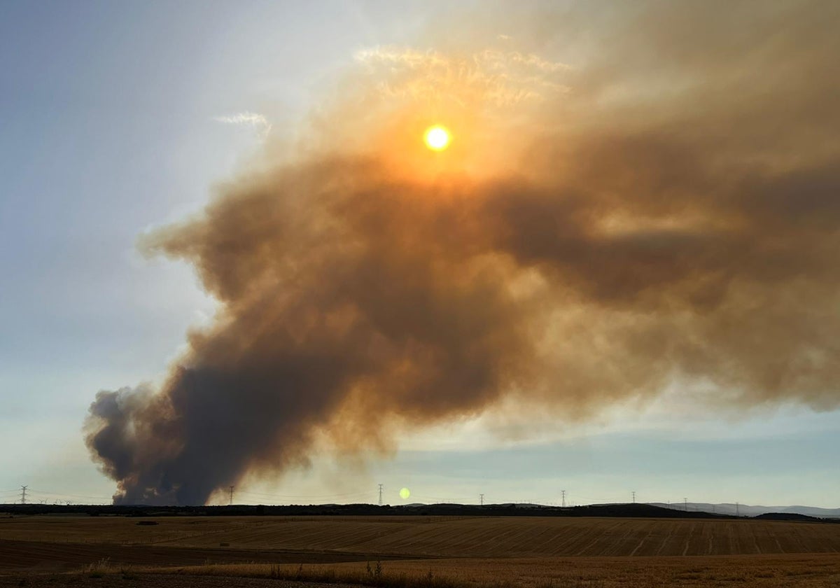 Un incendio forestal en una imagen de archivo