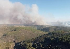 Preocupación en Zamora  por el acecho de un incendio declarado en Portugal