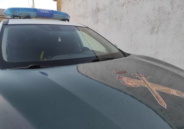 Investigado por presunto maltrato animal que llevó a la muerte de uno de sus perros