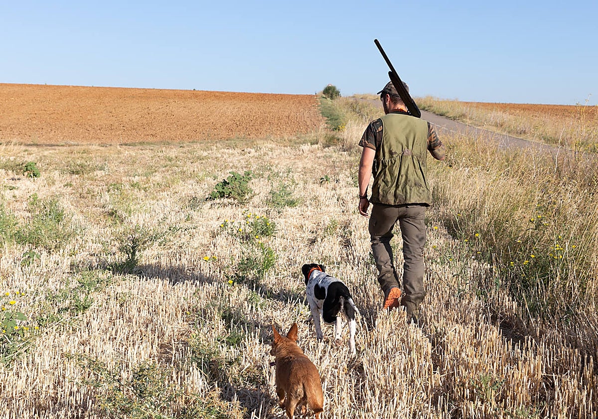 Un cazador, junto a sus perros, en el campo en una imagen de archivo en la provincia de Zamora