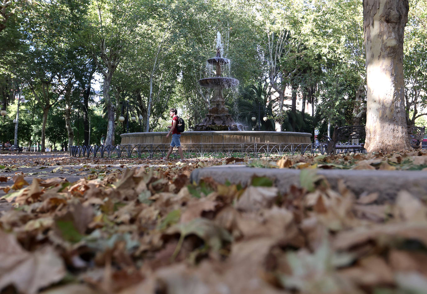 Colón, imagen otoñal en pleno agosto