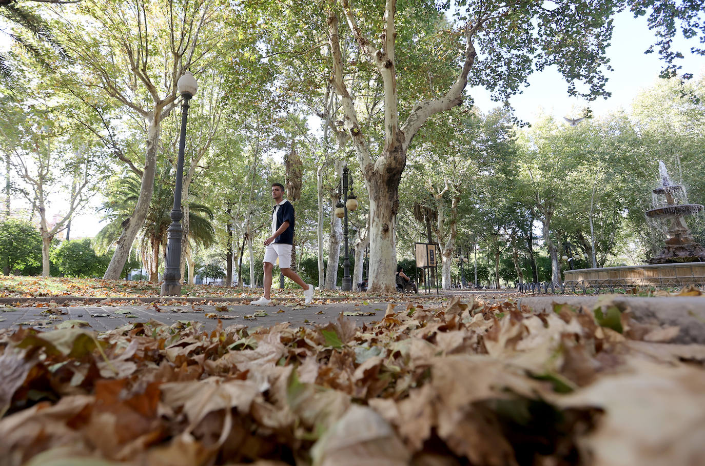 Colón, imagen otoñal en pleno agosto