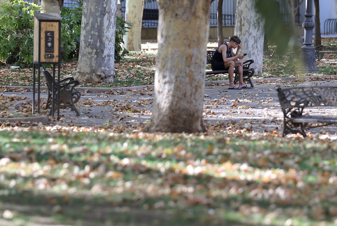 Colón, imagen otoñal en pleno agosto