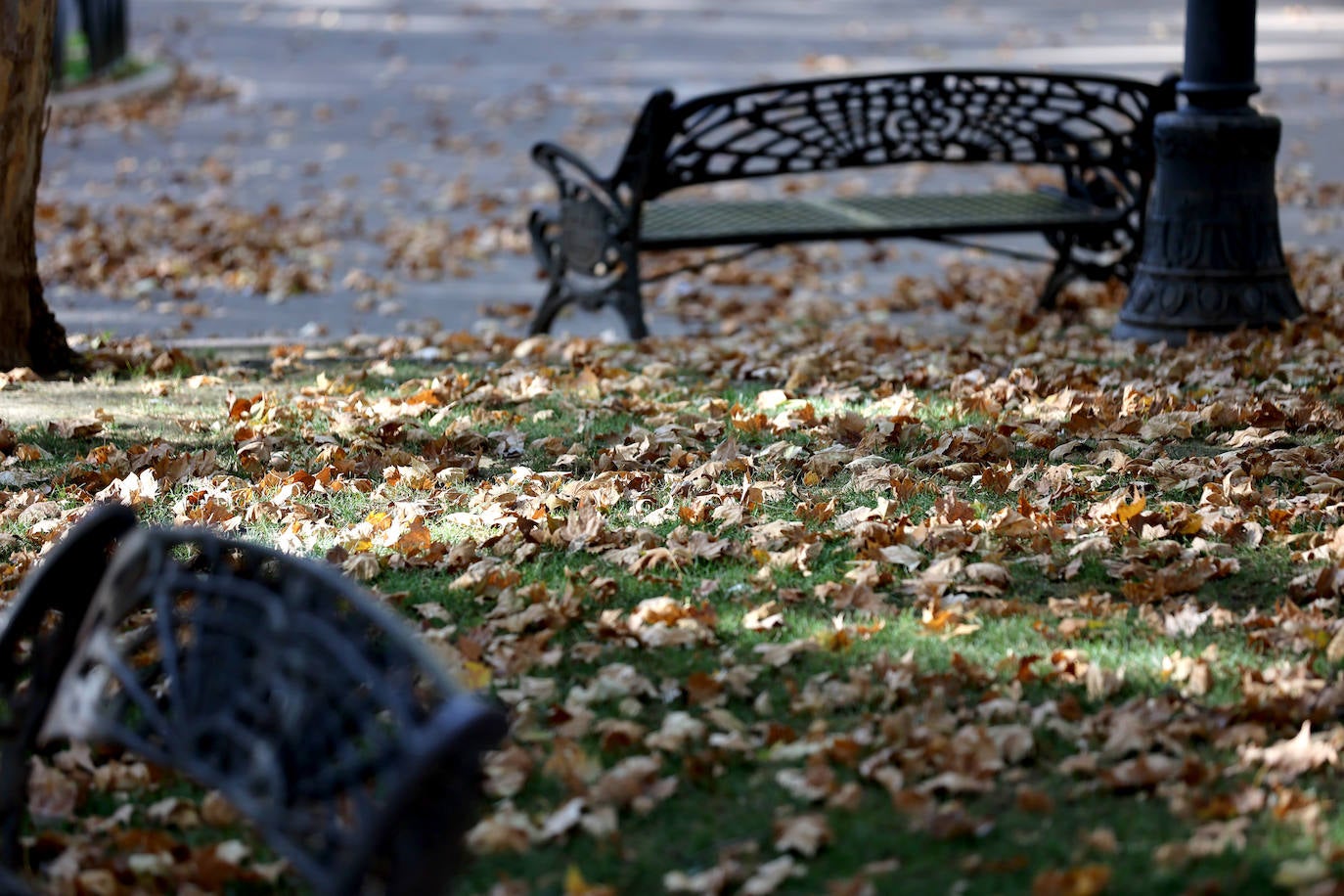 Colón, imagen otoñal en pleno agosto