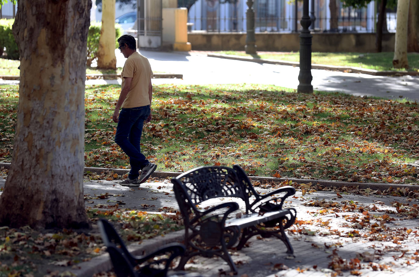 Colón, imagen otoñal en pleno agosto