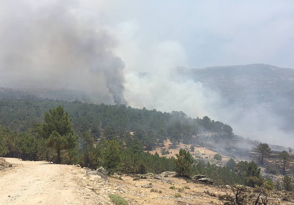 Incendio en el Valle del Tiétar (Ávila)