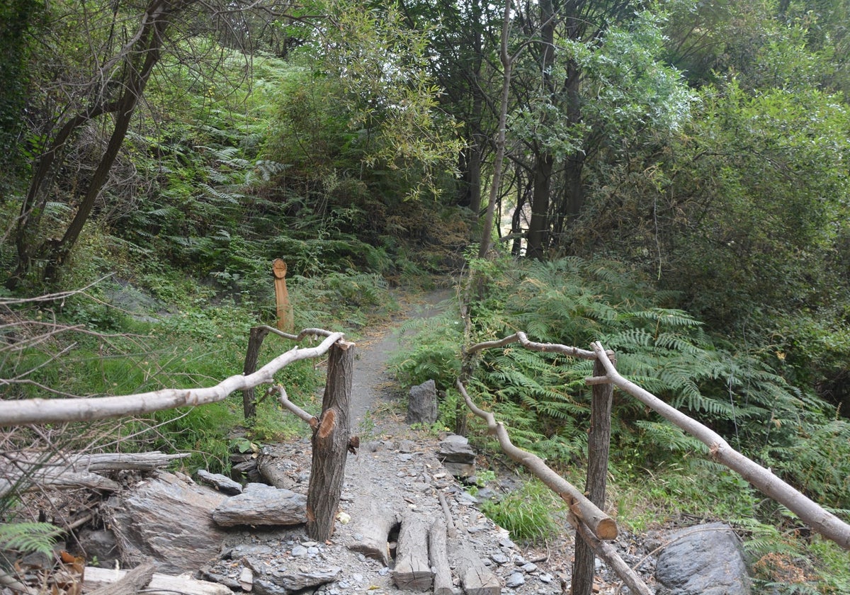 La ruta discurre por un paisaje idílico.