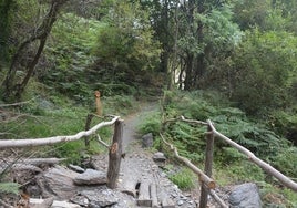 Ruta de las Acequias: un paseo saludable entre castaños y helechos en la mágica Alpujarra granadina