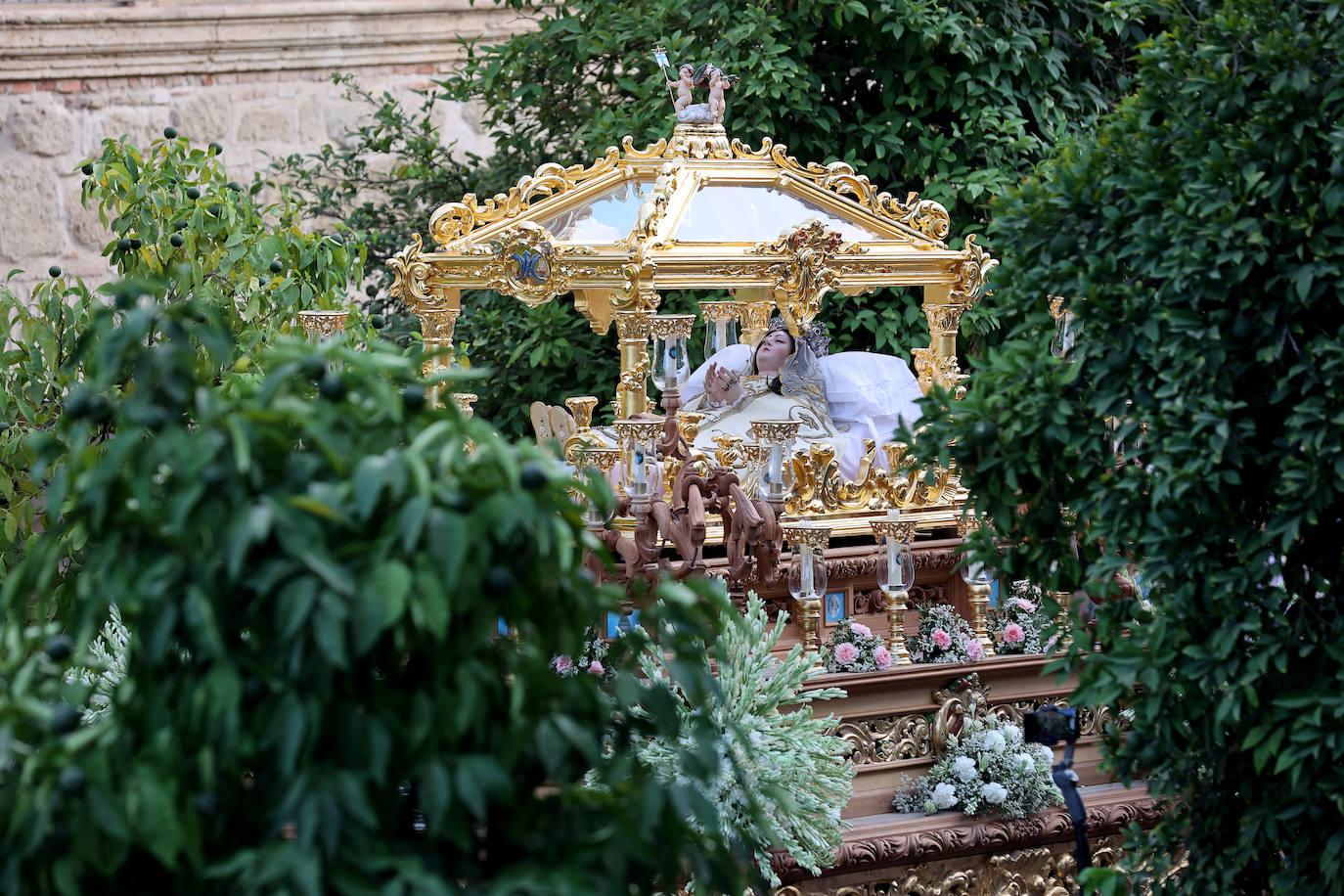 La procesión de la Virgen de Acá de Córdoba, en imágenes