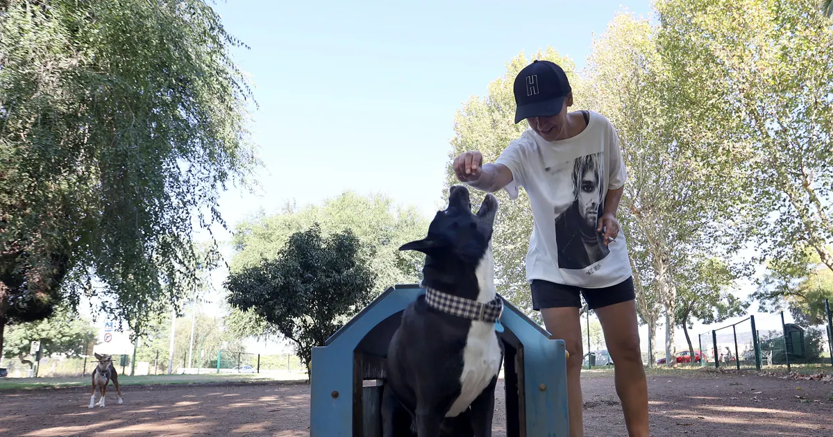 Córdoba alcanzará en seis meses los 13 parques para perros