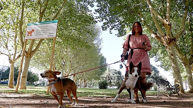 Una chica con dos canes