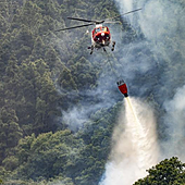 El incendio en Tenerife ha sido provocado