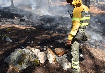 Un turista provoca un incendio en un pinar de Zamora con una hoguera para calentarse la comida