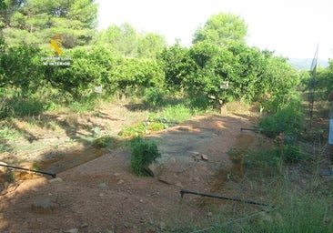 Sorprenden a dos hombres cazando mediante artes prohibidas en Castellón: así son 'la red japonesa' y el 'enfilat'