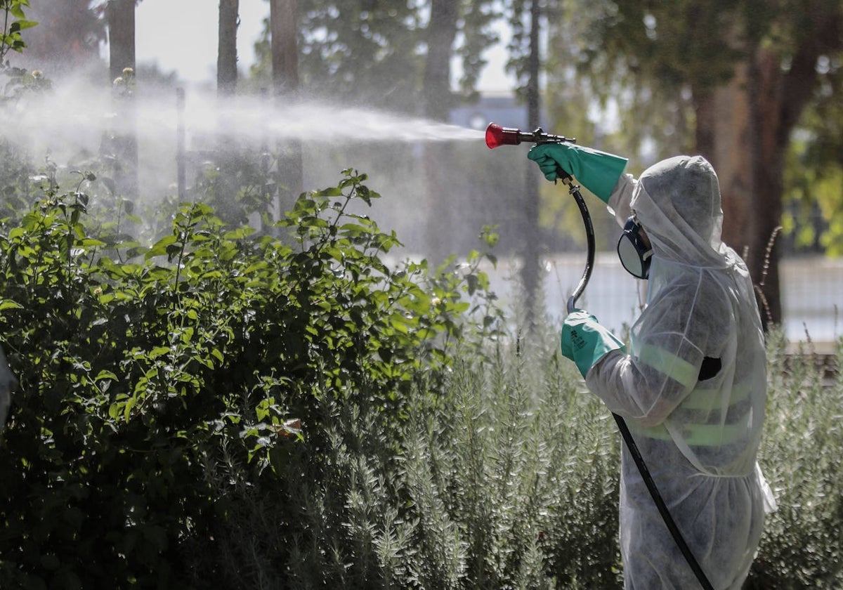 Trabajos de fumigación para prevenir la aparición de mosquitos con el virus del Nilo